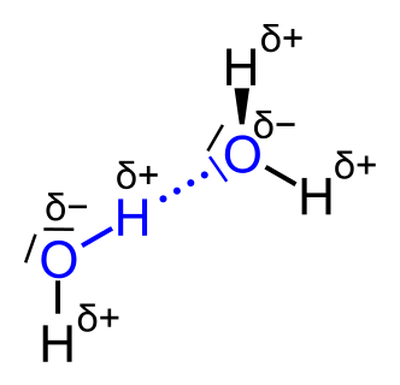 A diagram of two water molecules.