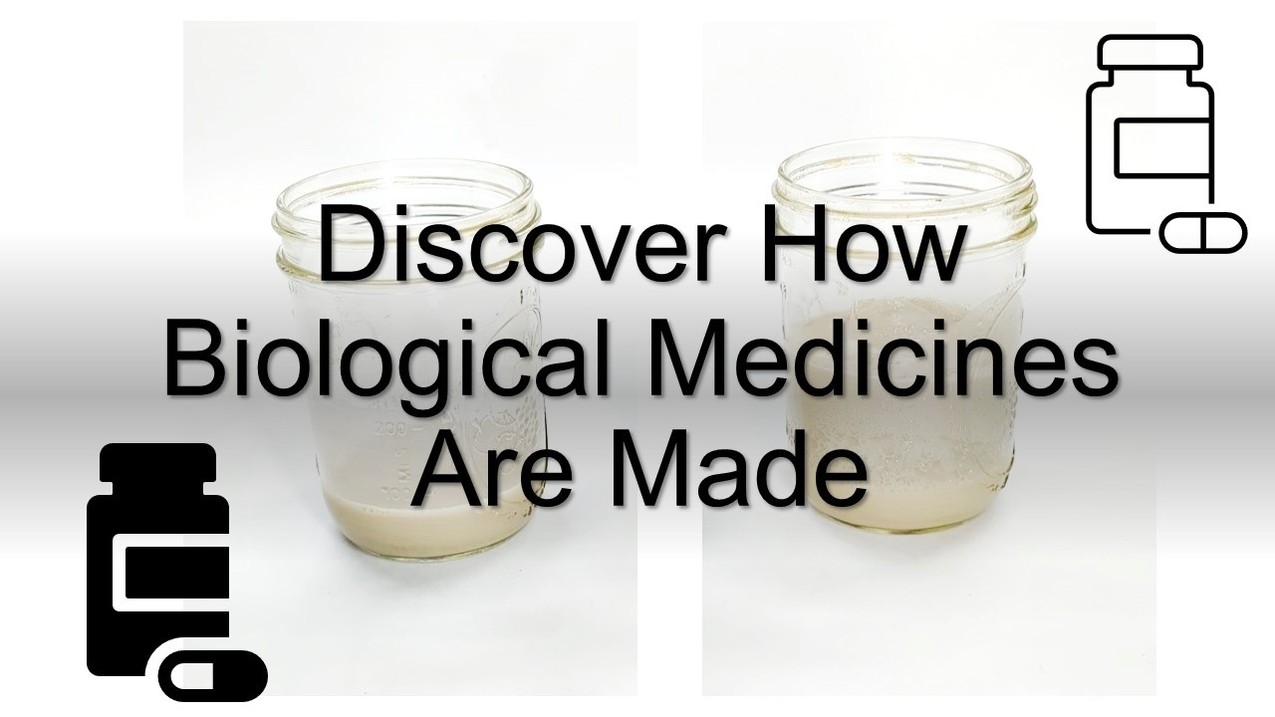 Understand Therapeutic Development by Modeling Biologics Manufacturing ...