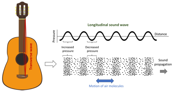 Sound from a guitar is represented by both a transverse and longitudinal wave