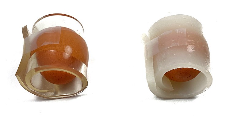 Two eggs, each wrapped in a hydrogel layer. One hydrogel is more transparent, and the other is more opaque.