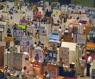 Science Fair Birds Eye View