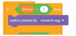 If then blocks from scratch program. Shows If Phase equals 1 then Switch costume to monarch egg.     
