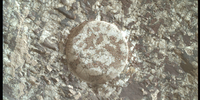 Mars Has Its Charmes