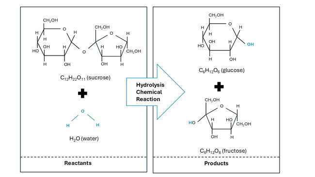 Image showing the break down of sucrose into it's parts.