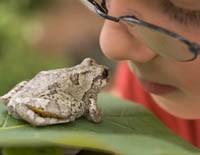 2012-boywfrogx200.jpg