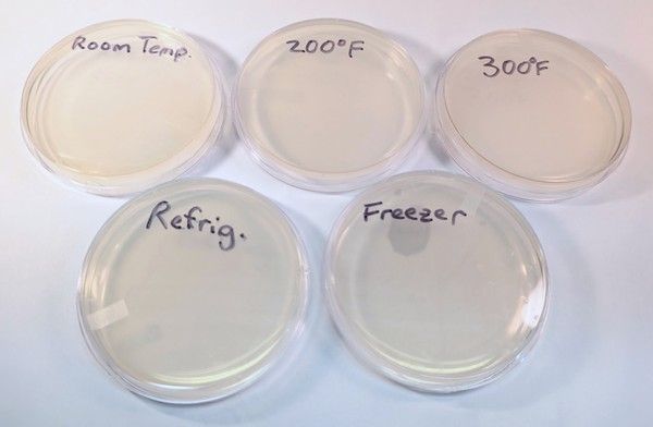 agar plates labeled