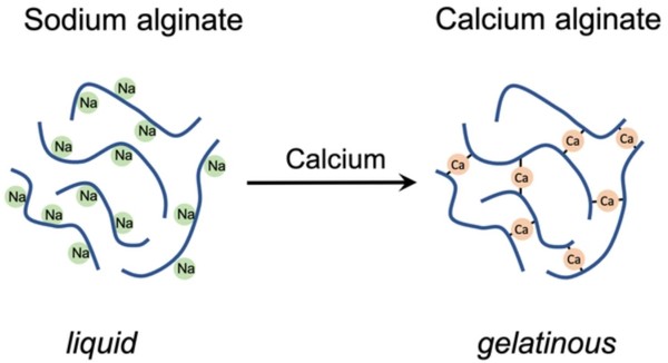 Chemical reaction of sodium alginate reaction with calcium to form calcium alginate.
