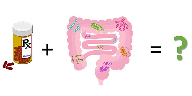 Pictorial equation asking what you get when you combine antibiotics and the gut microbiome. 