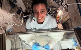 Science on the Space Station with NASA Astronaut Jessica Watkins