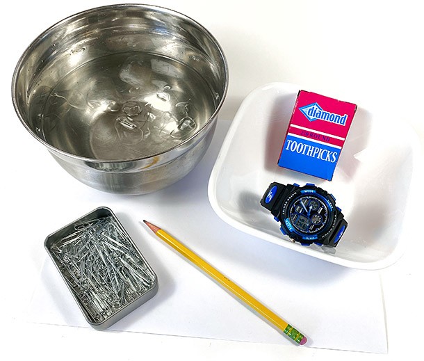 Materials needed for the Explore Enzyme Activity with Toothpicks  activity