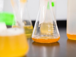 beakers with yellow liquid