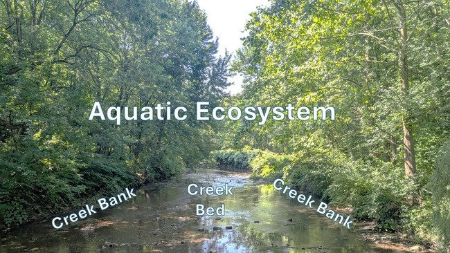 Image of labelled creek.