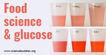 Diabetes Science - Food Science and Glucose