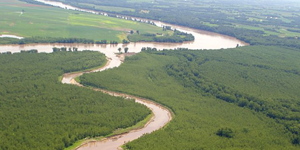 Flocculants and the Science Behind Clean Drinking Water
