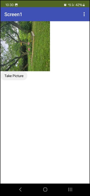 Basic camera app after taking a picture