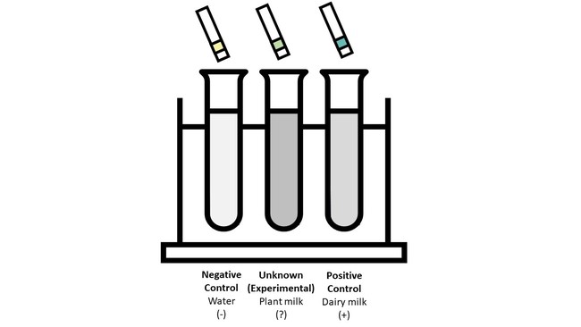 Image comparing expected protein test strip results of controls to unknown plant-based milk source result.