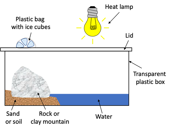 A schematic diagram that shows a closed transparent box. The box contains water on one side and sand with a large rock on the other side. Ice cubes are depicted on top of the lid above the rock, and a light bulb is shown above the box on the water side.