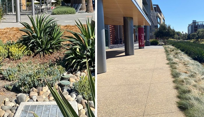 Two pictures of rain gardens next to a paved area. Both gardens start at the level of the pavement and slope down .