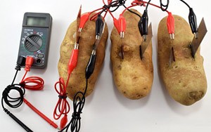 potato battery