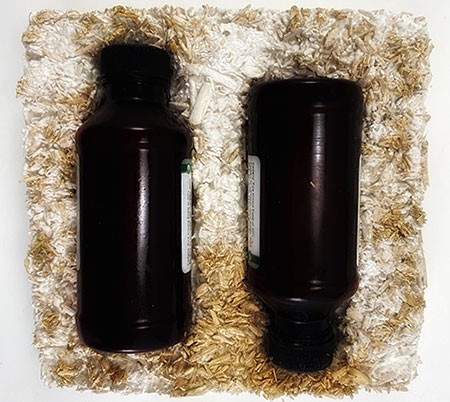  Two bottles that fit perfectly into mushroom material.   