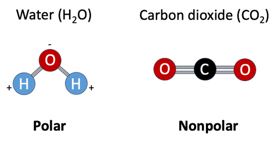 Left: A schematic diagram of a water molecule. Right: A schematic diagram of a carbon dioxide molecule