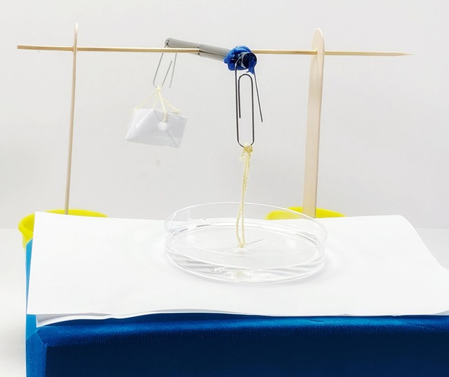 The balance beam is still horizontal, but the needle rests just on top of the water surface with the wire stretched.