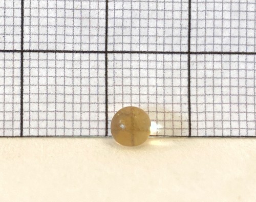 Graph paper is held up to the side of a small gelatinous ball