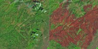 Cottonwood Fire Chars Utah