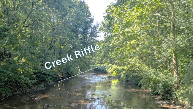 Image of riffles.