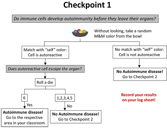 The first checkpoint in the autoimmune disease activity