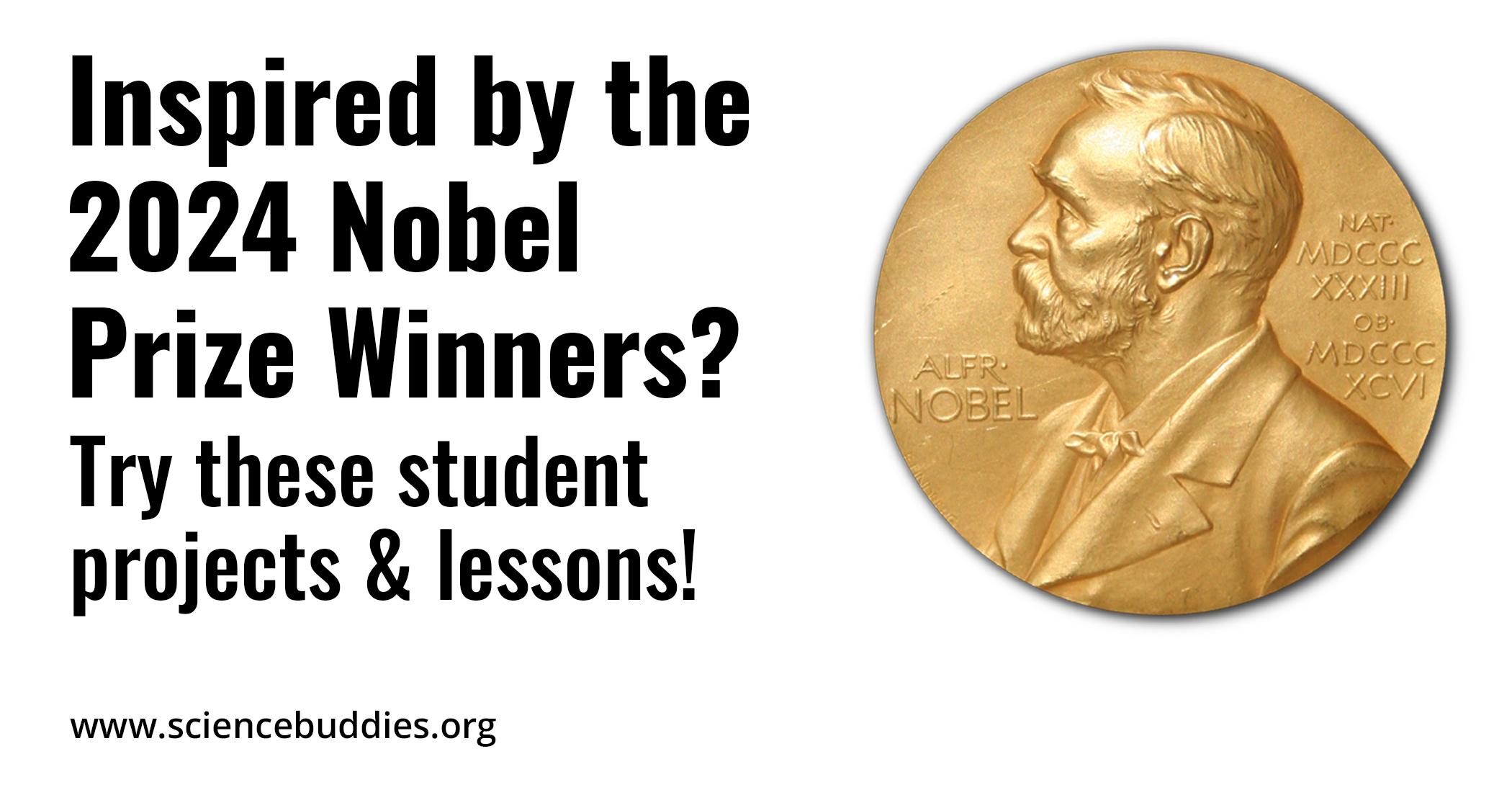 Nobel Prize coin - Inspired by the 2024 Nobel Prize Winners