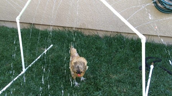 Water sprinkler toy with water spraying in different directions (to the far side, the front side, up- right and up-left)