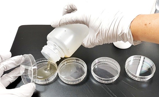 A person with gloved hands is pouring liquid LB agar from a bottle into an opened petri dish.