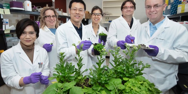 Grow Plants in Microgravity with an Arduino Clinostat | Science Project