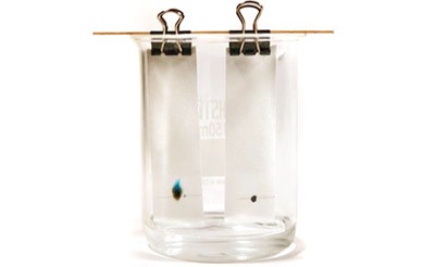 beaker with chromatography samples 