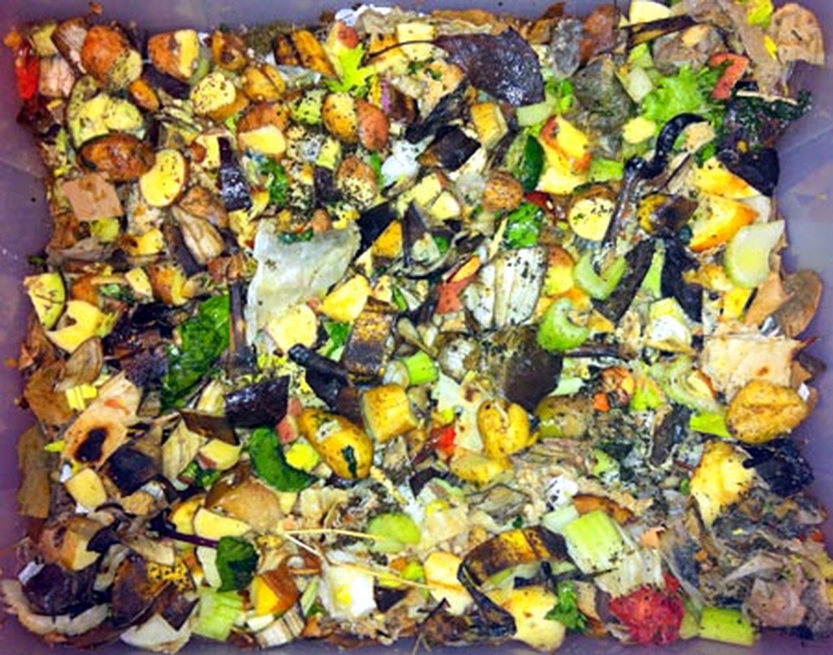 Exploring Biodegradable and Compostable Materials | Science Project