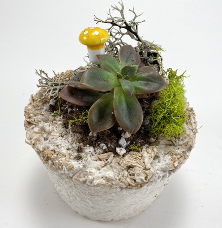 Planter made from mycelium composite material.