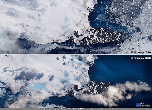 This image displays a dramatic comparison of the Antarctic landscape, showing significant ice melt between January and February 2020. The top panel, dated January 13, 2020, reveals a large section of snow and ice along a rocky coastline. The bottom panel, dated February 12, 2020, shows a noticeable reduction in the snow and ice cover, revealing more of the dark, rocky terrain and creating melt ponds on the ice sheet. This stark visual highlights the effects of a record heatwave on the region.