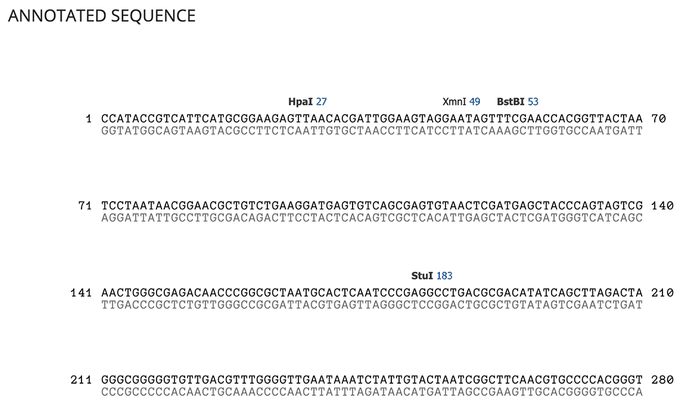 Screenshot of the Analyses section