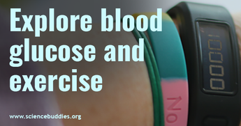 Diabetes STEM / Exercise and blood glucose