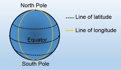 A globe with the top labeled 'North Pole', the bottom labeled as 'South Pole'. Lines connecting the top and bottom are labeled 'lines of longitude'. The line that is equidistant from the North and South pole is labeled Equator.