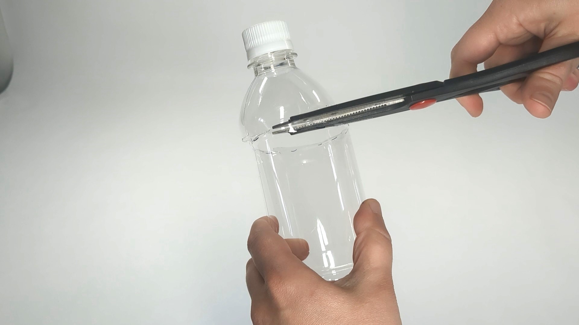 Image of where to cut bottle for hydroponic system.