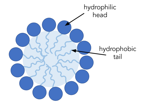 Schematic diagram of a circular micelle showing soap molecules that face their circular head to the outside and their tails to the inside.