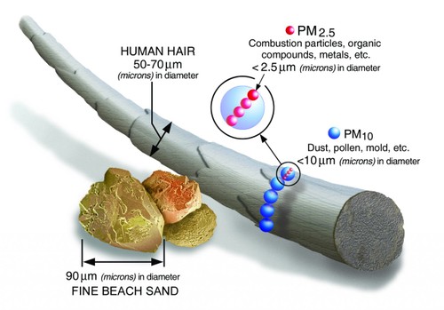 An image comparing the size of PM2.5 and PM10 to human hair and sand.