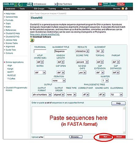 Screenshot of the ClustalW2 tool