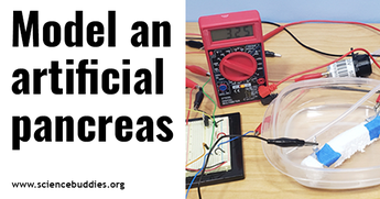 Diabetes STEM / Artificial Pancreas model and circuit