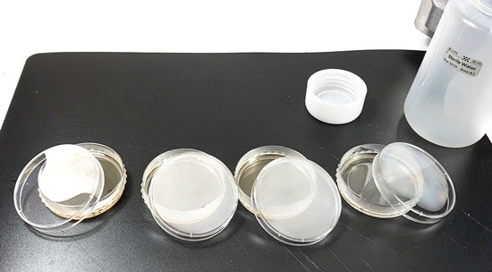  Four petri dishes half-filled with liquid LB agar. The lids are only put 3/4 of the way back on top of the petri dish 