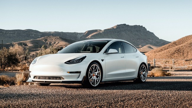 Tesla sedan with autonomous driving functions parked on the side of a gravel road. 