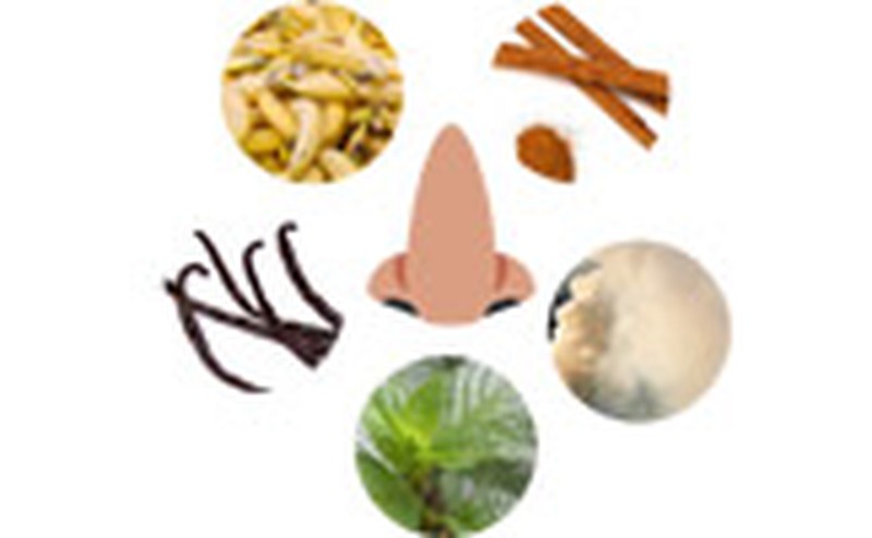 Smelly Science: A Sniff Test | Science Project