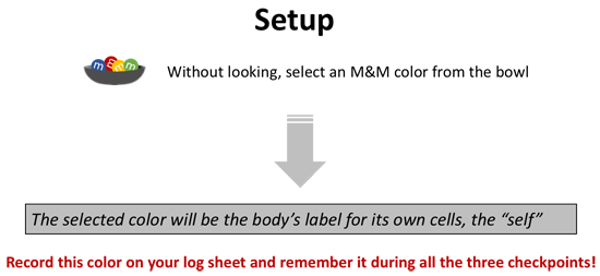 Setup instructions for the autoimmune disease activity